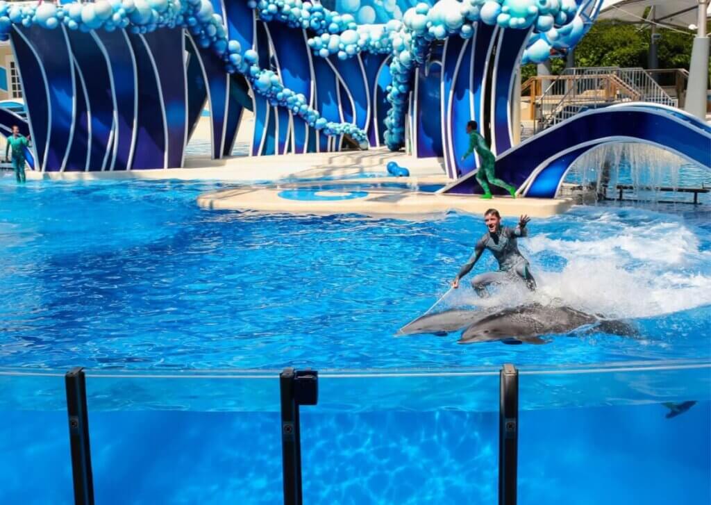 a trainer cruelly surfing on top of two dolphins who were forced to entertain at SeaWorld